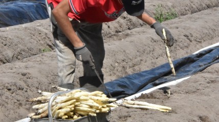 Daguitstap naar Land van Hulst
